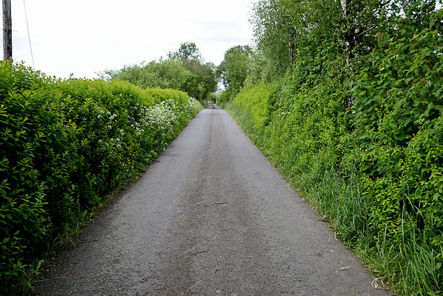 Hedge cutting